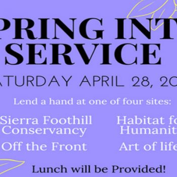 Spring into Service Info