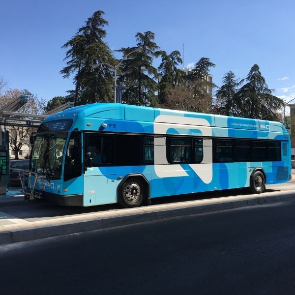Bus rides for bulldog – Bulldog Blog